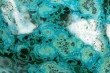 Vibrant Polished Malachite with Chrysocolla - DR Congo #320436-2